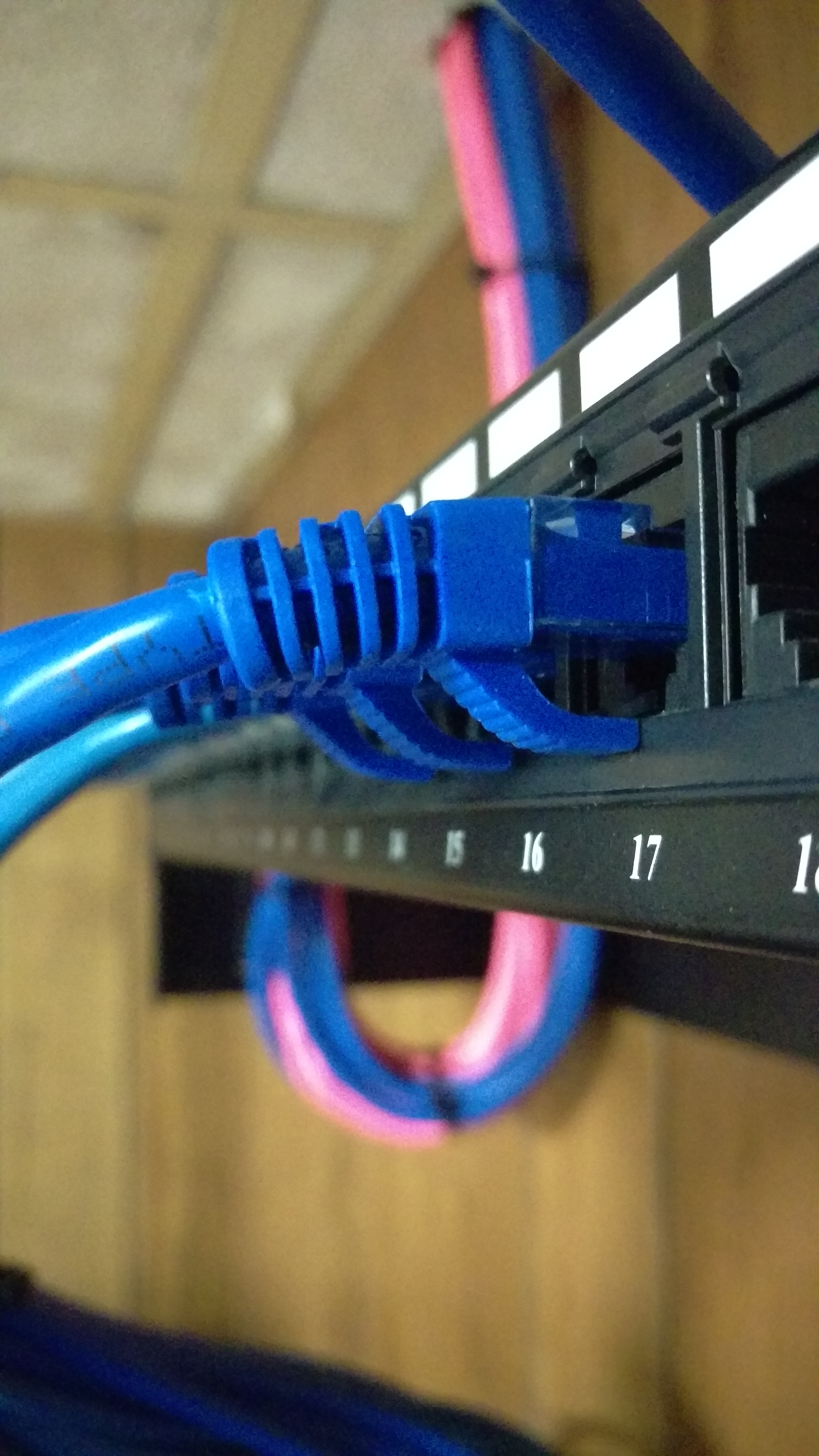 New Cat 6 Patch Panel & Data Cabling